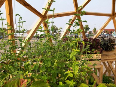 26-geokupolai-geodome