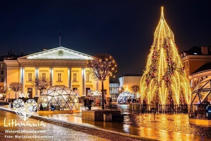 50-geokupolas-egle-rotuse