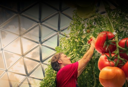 56-geokupolai-siltnamiai