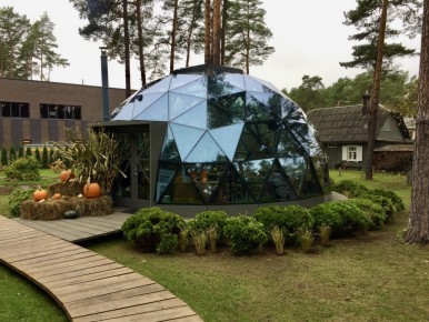 veidrodinis-kupolas (2)