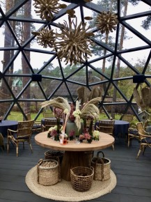 veidrodinis-kupolas (4)